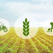 risks in agriculture methods