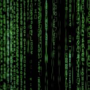 Cyber-crime: A Global Perspective