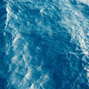 THE OCEAN: LIFE AND LIVELIHOOD