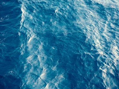 THE OCEAN: LIFE AND LIVELIHOOD