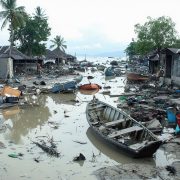 Disaster Risk Management