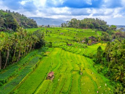 Overtoursim Risk in Bali