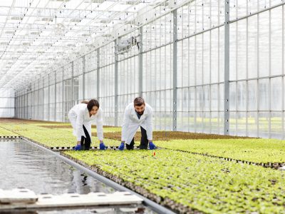 Embedding-Risk-Intelligence-in-Indian-Agriculture