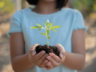 Green-Maharashtra-Mission